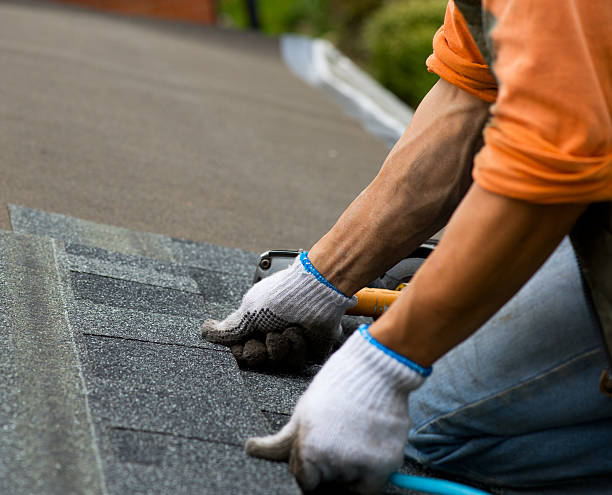 Best Roof Repair Services  in Highland Rk, PA