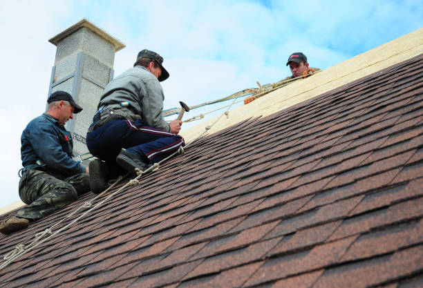 Best Storm Damage Roof Repair  in Highland Rk, PA